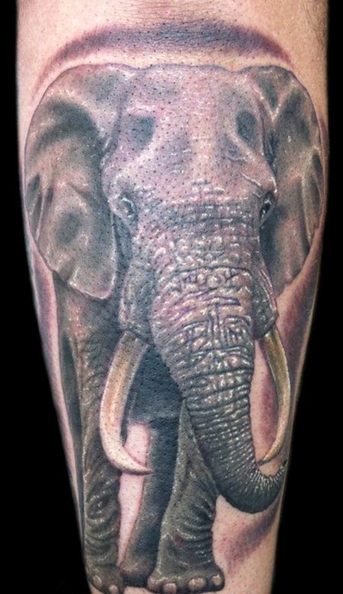 经典大象图案纹身