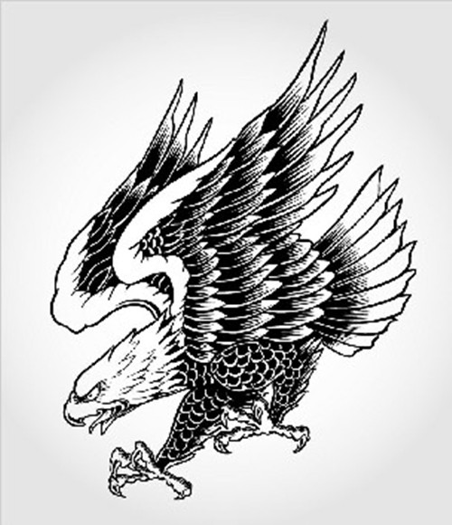 展翅的雄鹰纹身 手稿欣赏