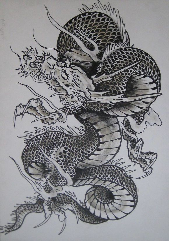 经典青龙纹身手稿