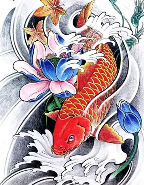 彩色鲤鱼纹身手稿
