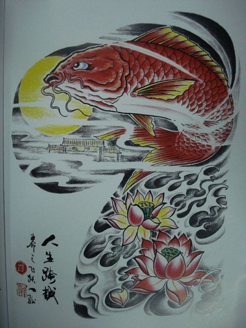 经典彩色锦鲤纹身手稿