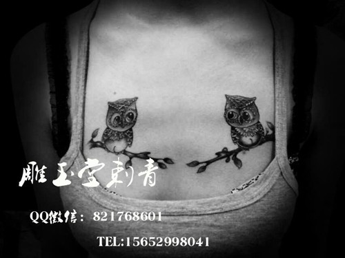 动物纹身 字母纹身 彩色纹身 黑白纹身纹身合集