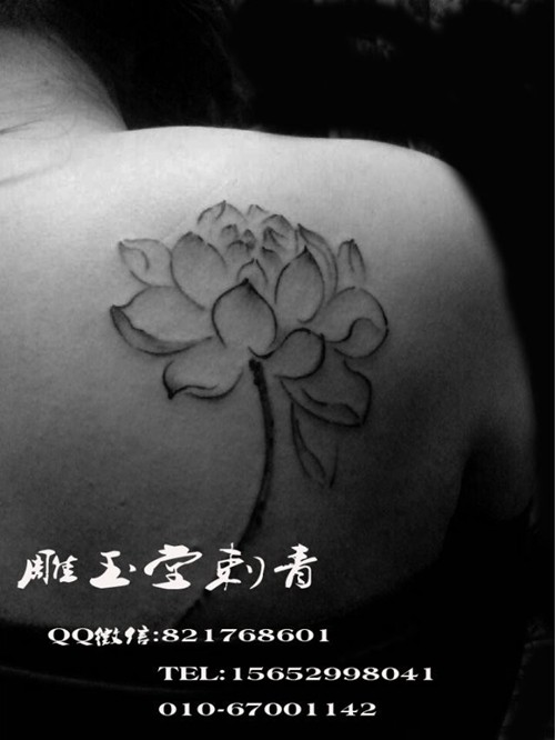 动物纹身 字母纹身 彩色纹身 黑白纹身纹身合集