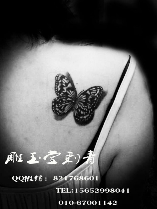 动物纹身 字母纹身 彩色纹身 黑白纹身纹身合集