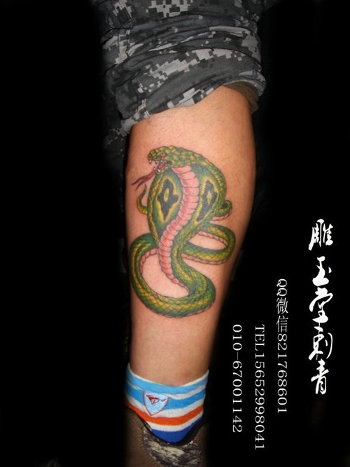 动物纹身 字母纹身 彩色纹身 黑白纹身纹身合集