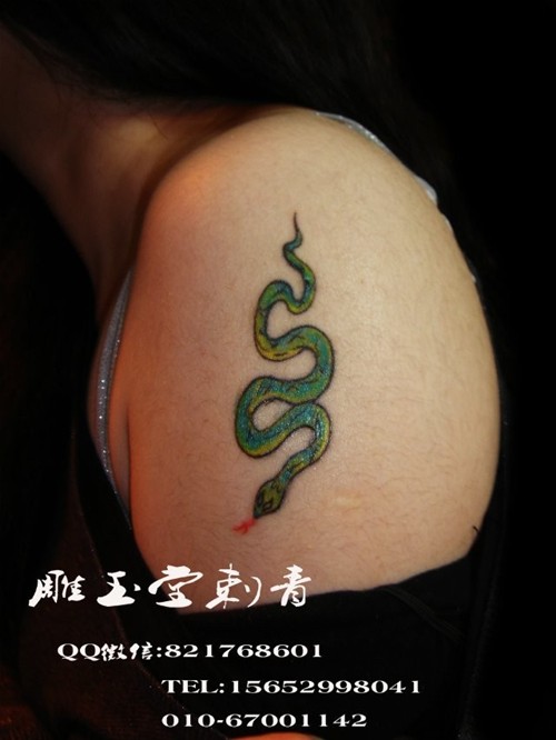 动物纹身 字母纹身 彩色纹身 黑白纹身纹身合集