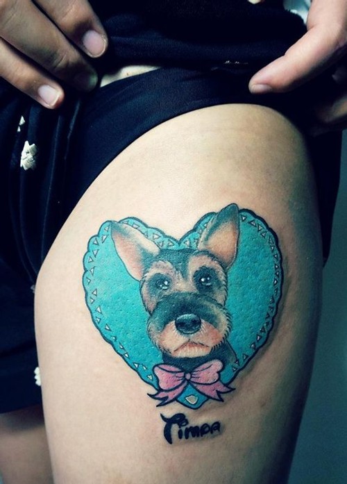 一组可爱的小动物图片纹身