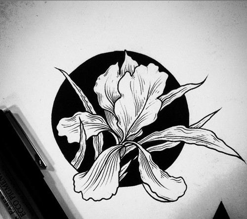 黑白 彩色花朵纹身手稿