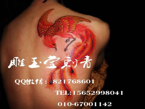 英文纹身 3d纹身 蝴蝶纹身 美女纹身
