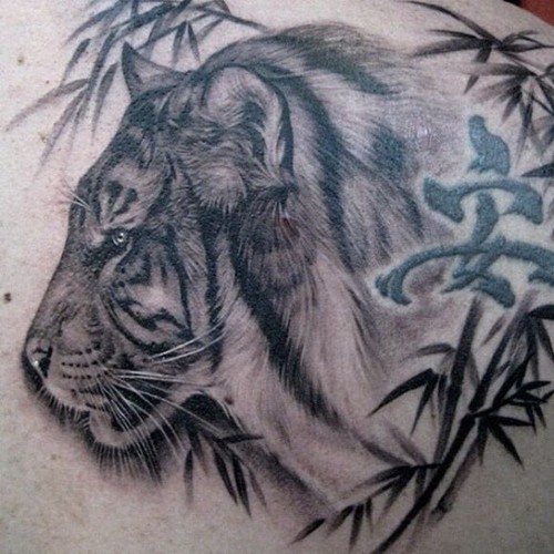 虎 狼 狮子纹身作品纹身手稿欣赏