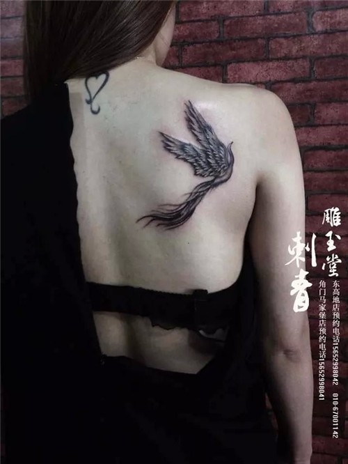 美女纹身   汉字纹身  手臂纹身  后背纹身