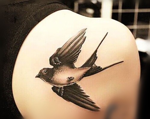 美女背部小鸟纹身
