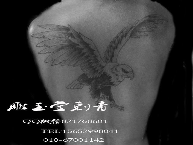 美女纹身  3d纹身  欧美纹身