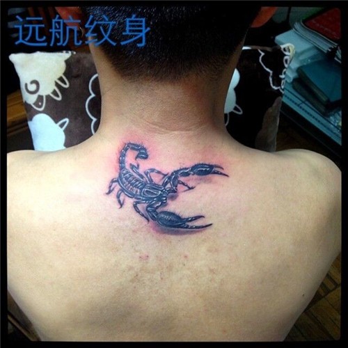 蝎子纹身  3D蝎子纹身  上海远航纹身