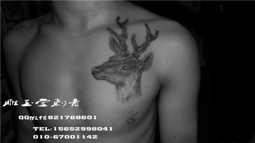 腰腹部纹身  胸部纹身  背部纹身  北京大兴纹身  东高地刺青