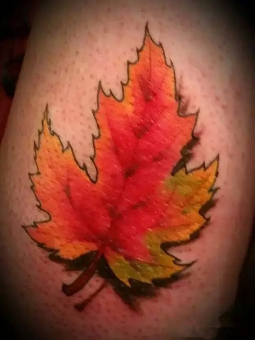 唯美的火红枫叶纹身