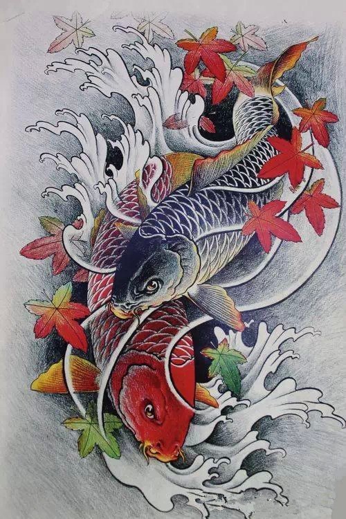 好看的彩色鲤鱼纹身手稿
