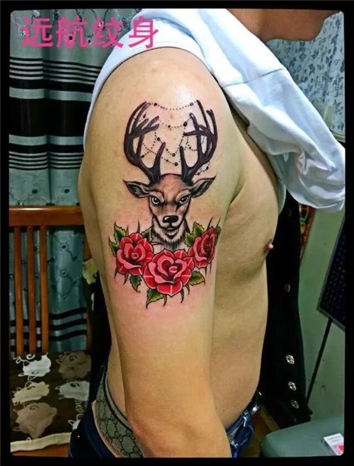 鹿头纹身   胳膊鹿纹身  罗店纹身店  远航纹身