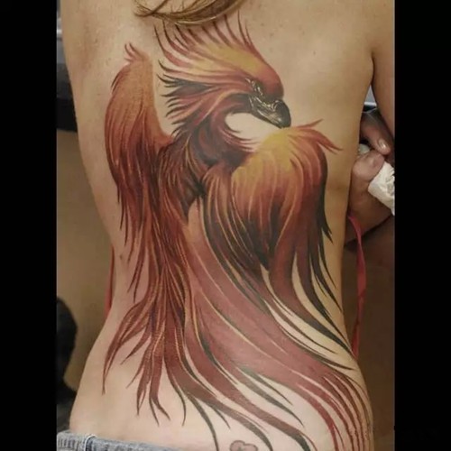 凤凰涅槃  浴火重生