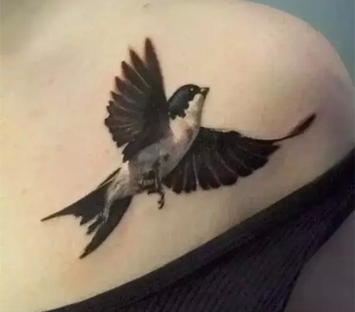 淘气的小燕子纹身