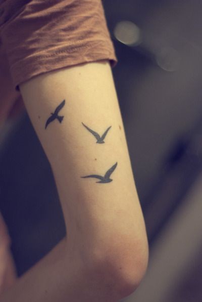 手臂上一款漂亮的小鸟纹身