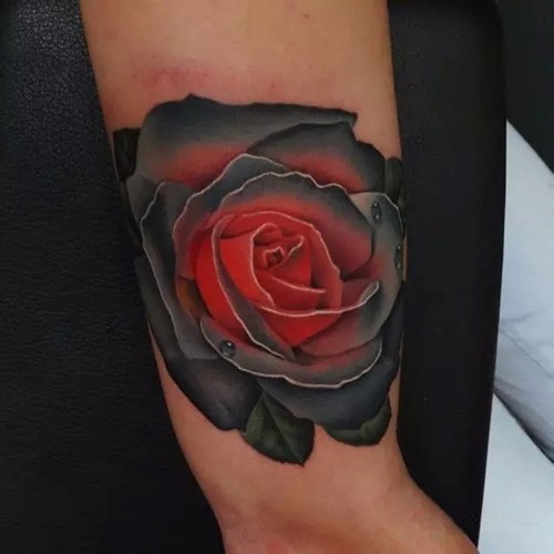 Andrés Acosta  给你所有想要的玫瑰