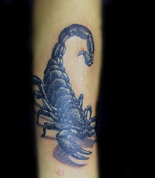 个性逼真的蝎子纹身图案