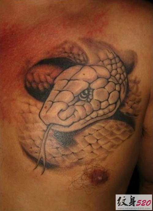 惟妙惟肖的3D蛇纹身图片
