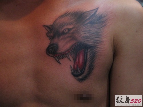 男性胸部霸气狼头纹身图片