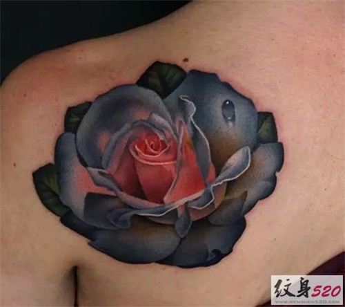 Andrés Acosta创意玫瑰花纹身作品