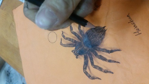 3D蜘蛛纹身手稿