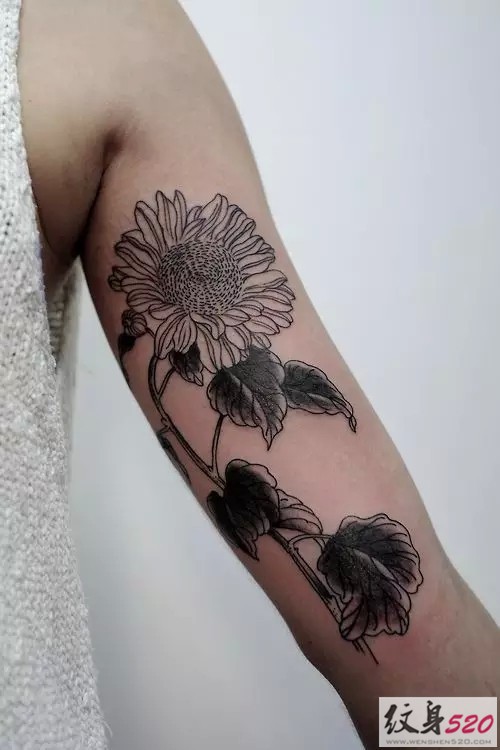 女生手臂黑灰向日葵纹身