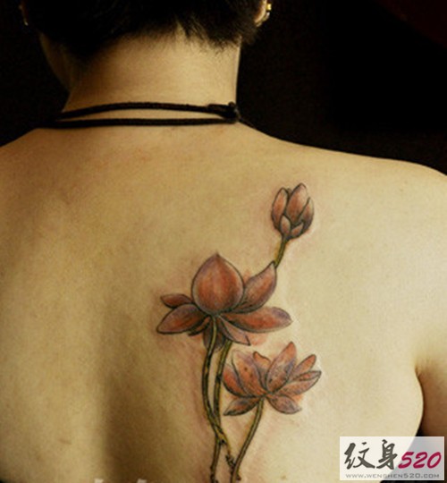 圣洁的莲花纹身图案