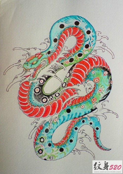 各类蛇纹身手稿素材欣赏