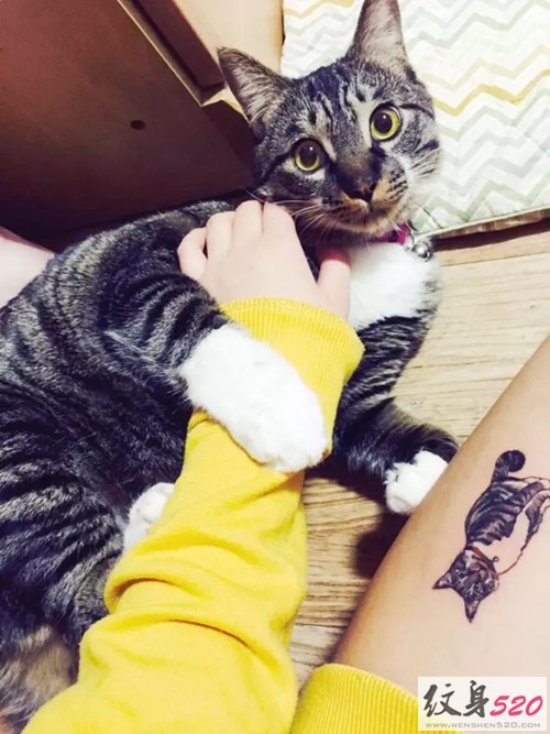 萌化人心的小猫咪纹身