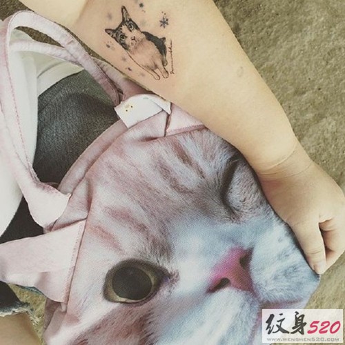 萌化人心的小猫咪纹身