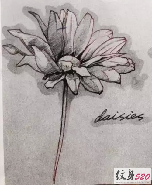 简单清新的小雏菊纹身手稿