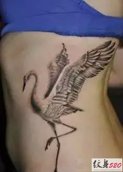 水墨风丹顶鹤纹身图案