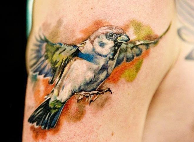 手臂好看的小鸟纹身
