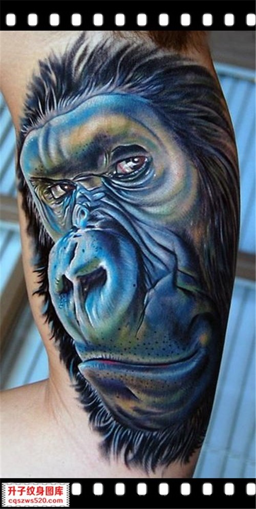 手臂猩猩纹身 重庆升子纹身 纹身培训 沙坪坝纹身