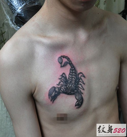 男士胸口逼真的蝎子纹身