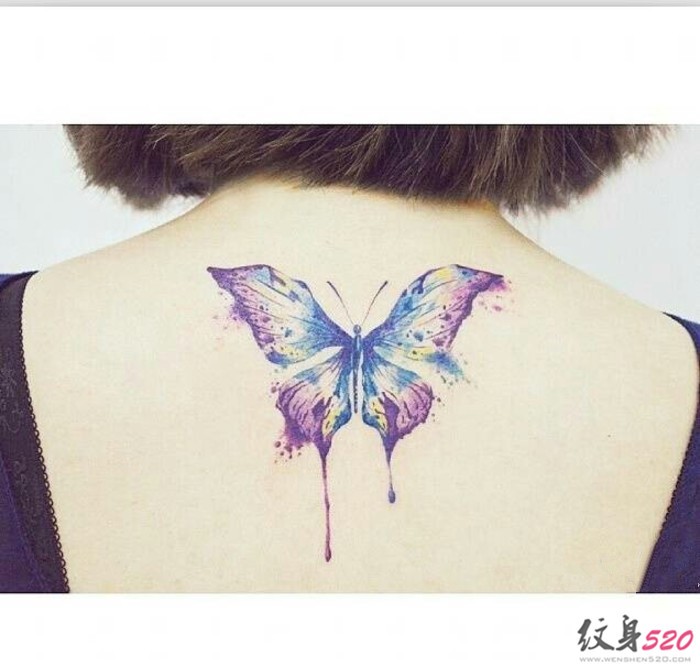 漂亮的蝴蝶图腾纹身