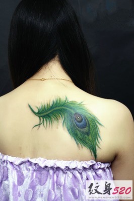 背部美丽精致的孔雀翎孔雀羽毛纹身