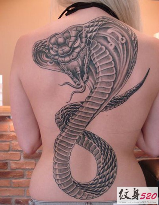 男女都适合的一组蛇图腾纹身图案