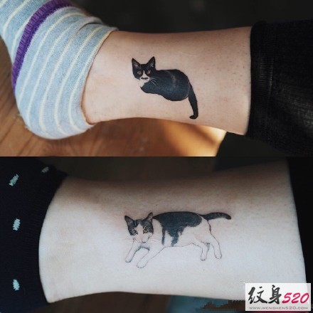 猫奴最爱的猫咪纹身