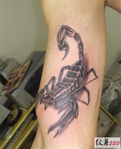 最流行最经典的个性逼真蝎子纹身