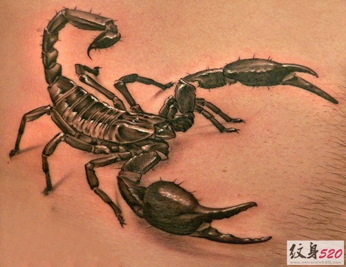 最流行最经典的个性逼真蝎子纹身