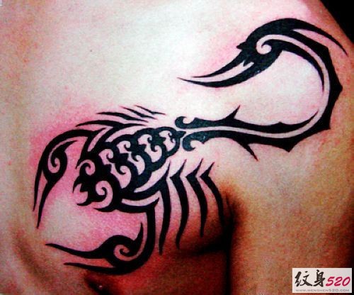 一组个性精致的蝎子图腾纹身