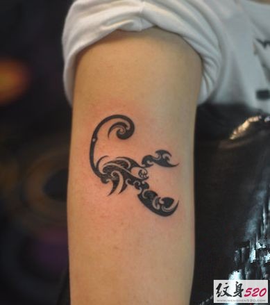一组个性精致的蝎子图腾纹身