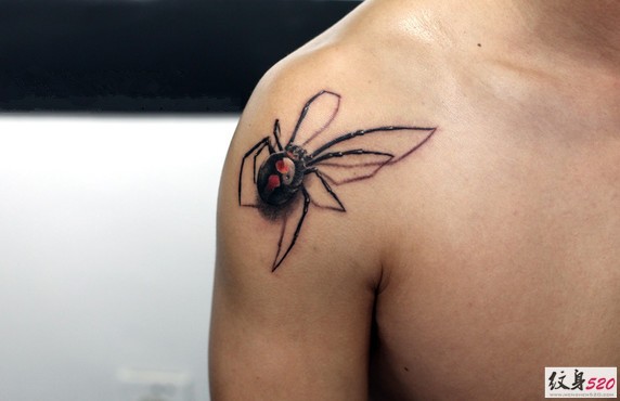 肩部逼真写实的蜘蛛纹身
